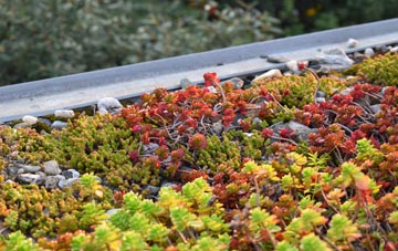 the cost of Threekingham green roof installation