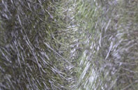 Threekingham fibreglass roof work